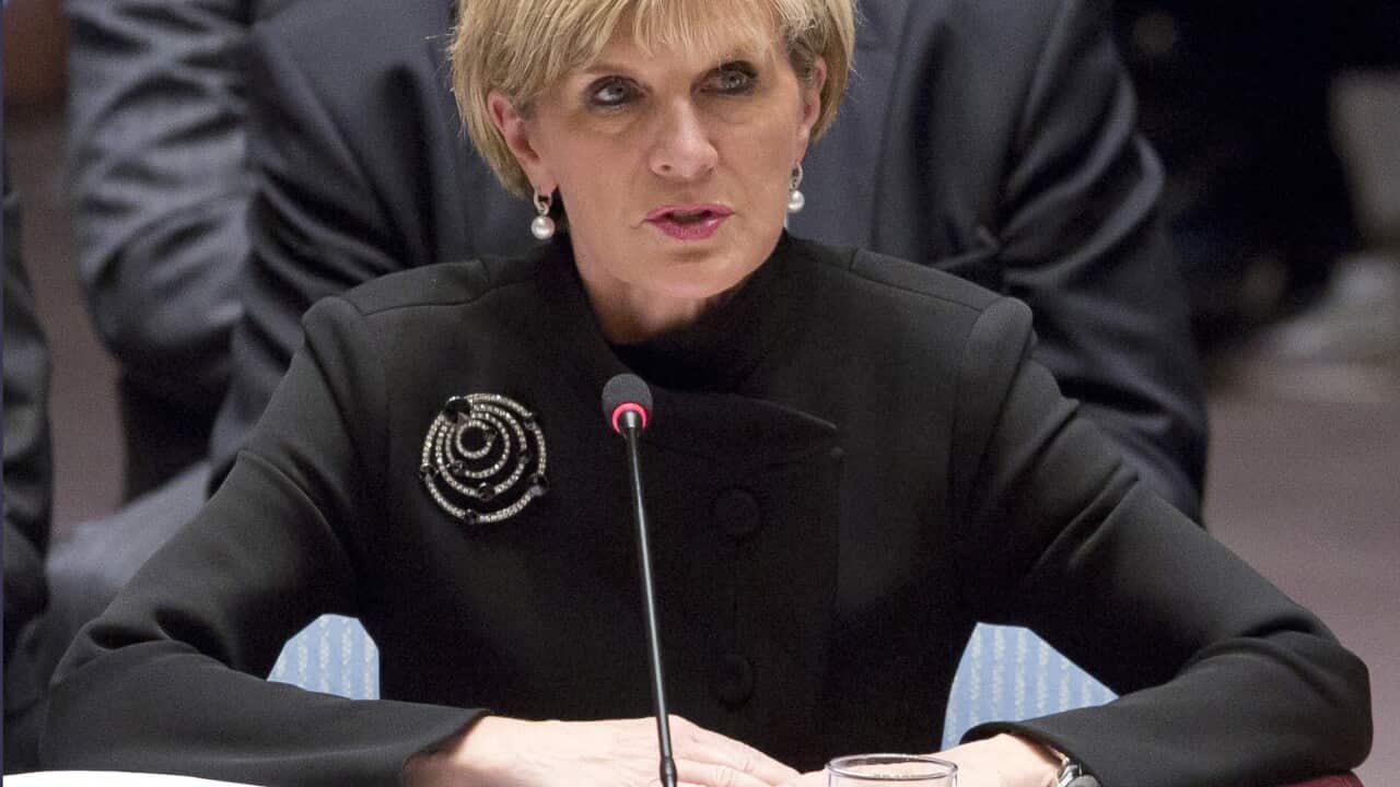 Foreign Minister Julie Bishop 