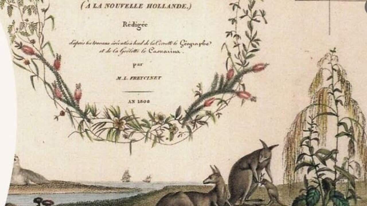 French Science on the High Seas: Voyages of exploration and discovery