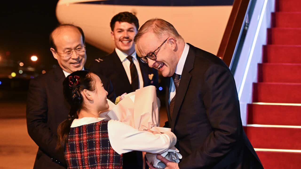 Image for read more article '更多內容'
