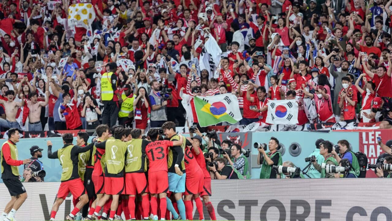 Image for read more article 'READ MORE'