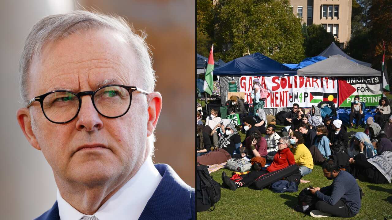 Anthony Albanese’s criticism of pro-Palestinian student rallies: ‘Provocative act’ Anthony Albanese’s criticism of pro-Palestinian student rallies: ‘Provocative act’