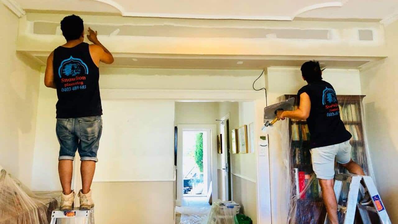 Snowlion Plastering