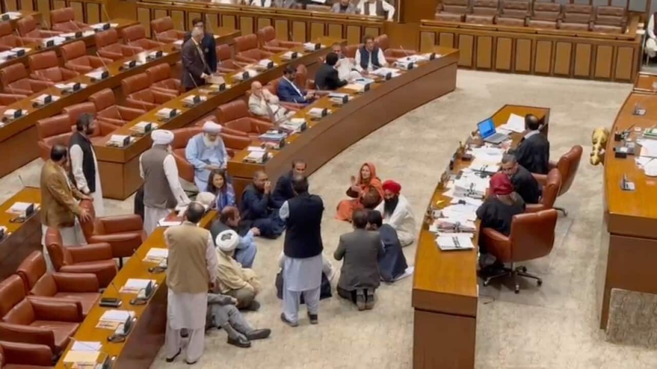 WhatsApp Image 2025-04-23 at 05.12.04.jpeg