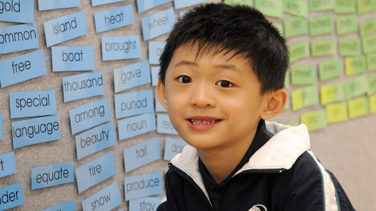 Evan Luc Tran