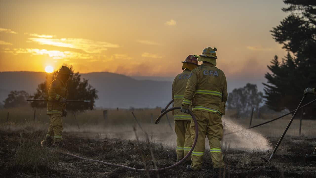 The fires continue to burn as large parts of the south-east face severe heatwave warnings The fires continue to burn as large parts of the south-east face severe heatwave warnings