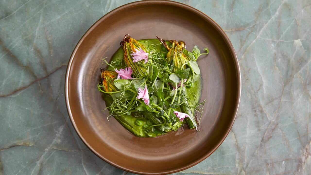 Zucchini flowers.jpg