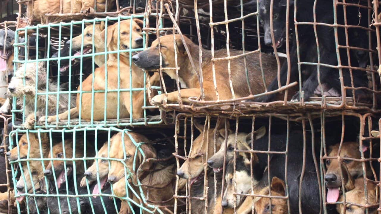 Image for read more article ''