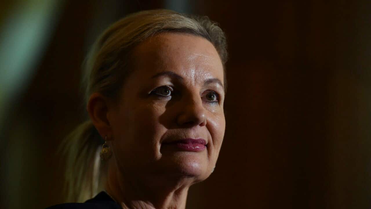 Environment Minister Sussan Ley says the World Heritage Committee decision “was a good one“.