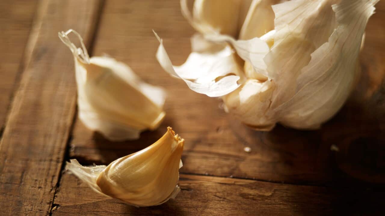 garlic.jpg