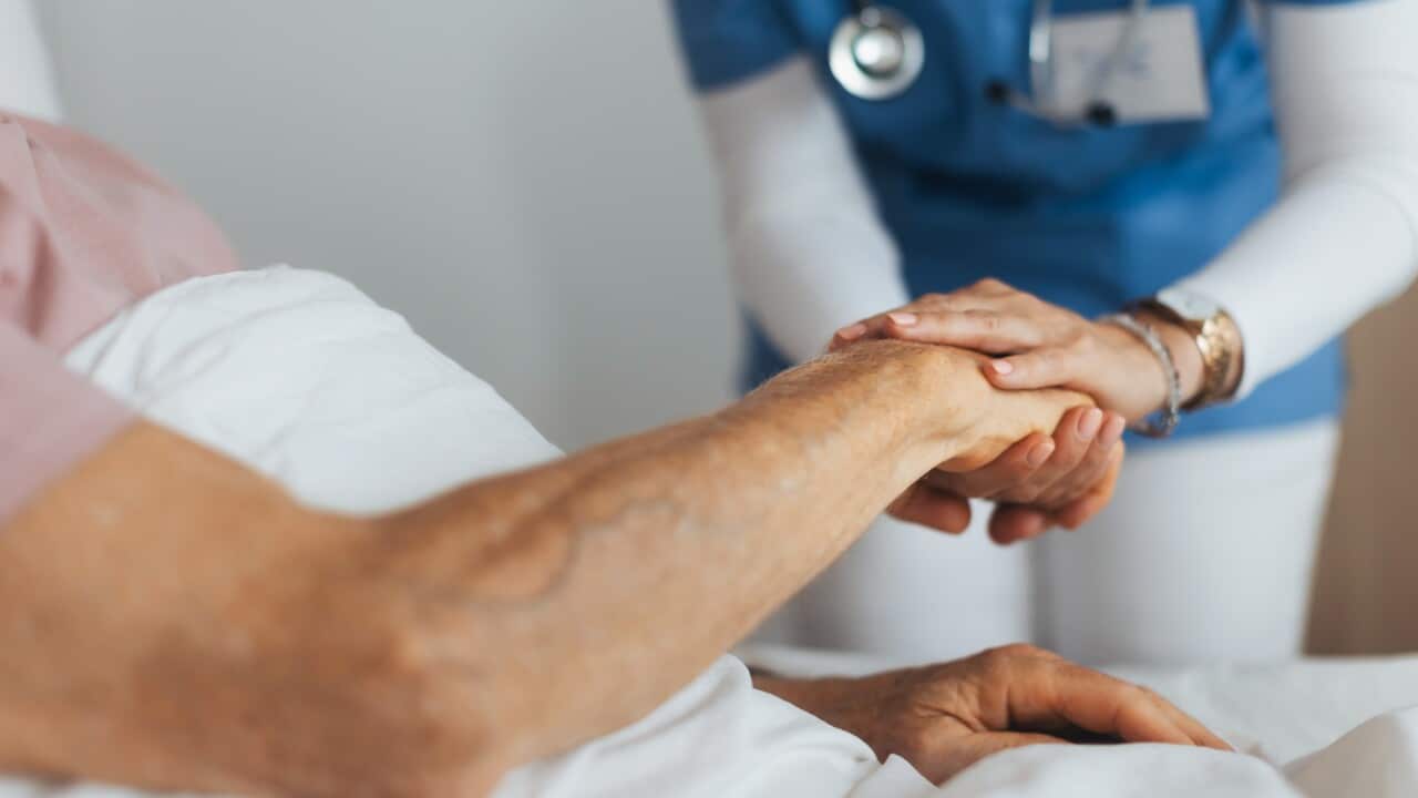 Close-up of caregiver holding senior client hand. Support from nurse to patient, taking care of elderly man in hospital. Emotional support and care in healthcare.