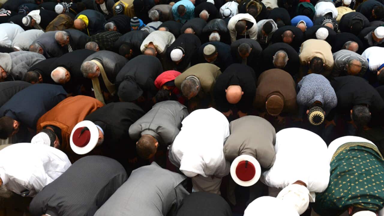 Image for read more article 'Related reading'