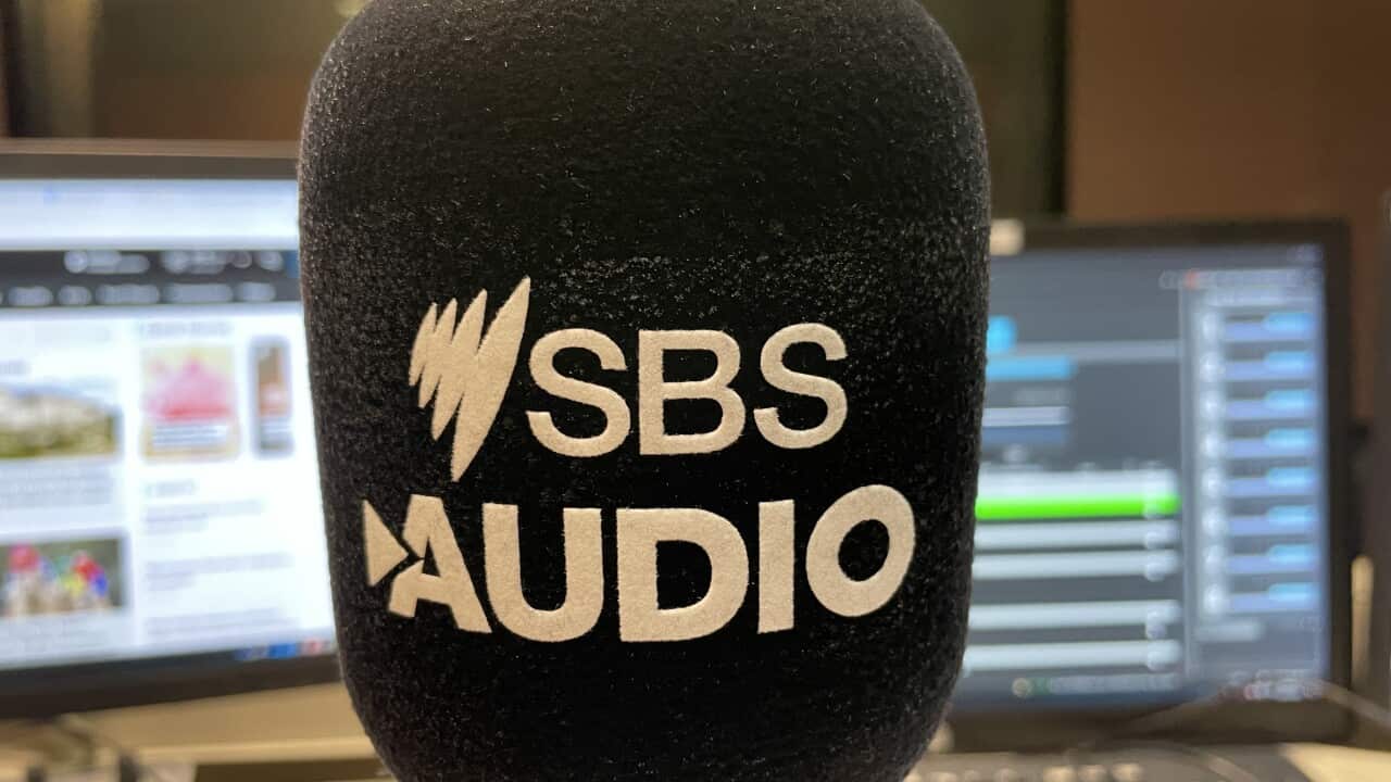 SBS AUDIO MIC.jpg
