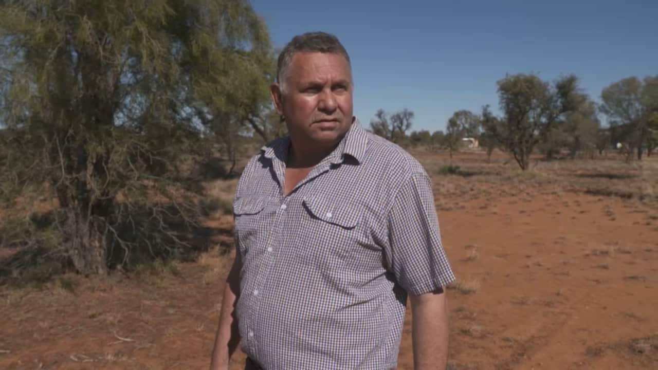 Peter Renehan