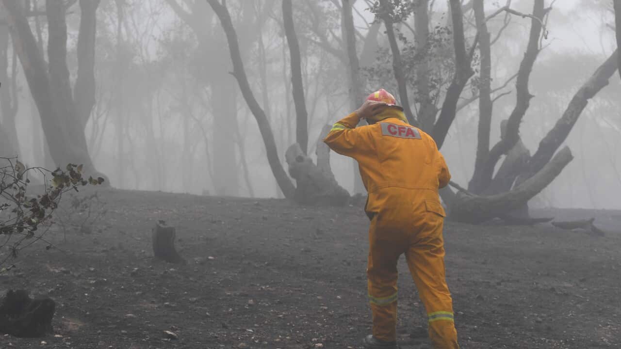 A CFA firefighter is seen in burnout land near Mount Glasgow, Victoria, Thursday, November 21, 2019. The mount Glasgow fire has been downgraded from an Emergency Warning. (AAP Image/James Ross) NO ARCHIVING
