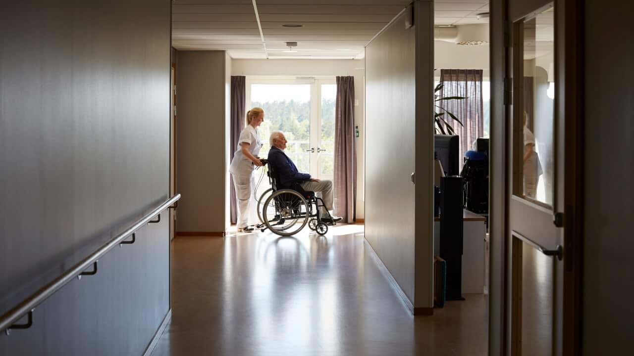Female nurse pushing elderly man in wheelchair at an aged care facility.