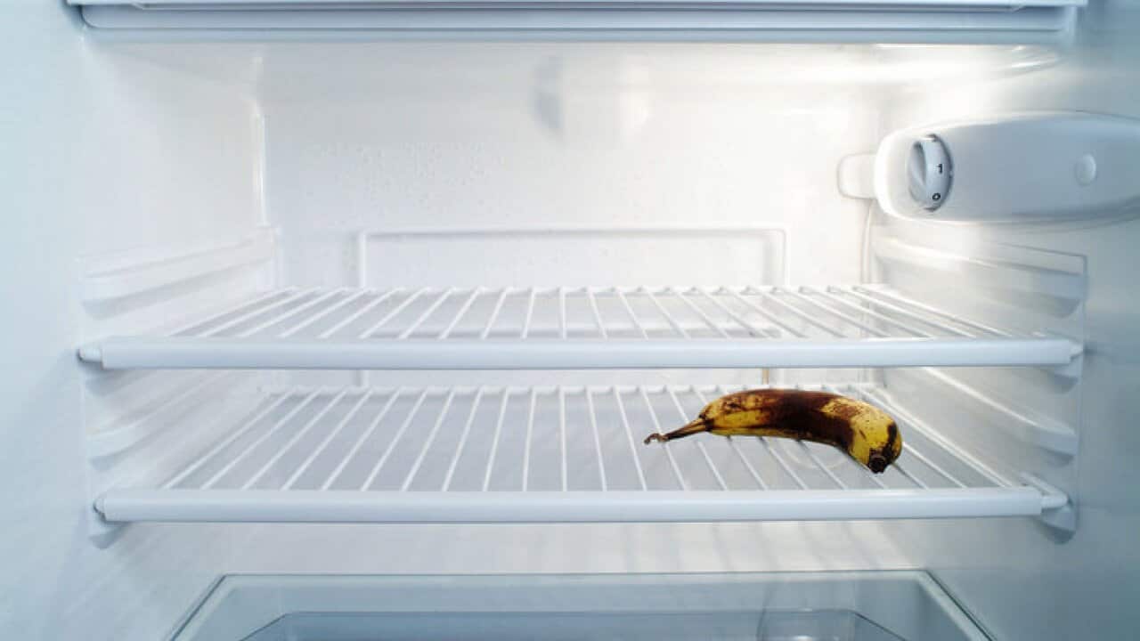 Una rappresentazione del frigo di un redattore di SBS
