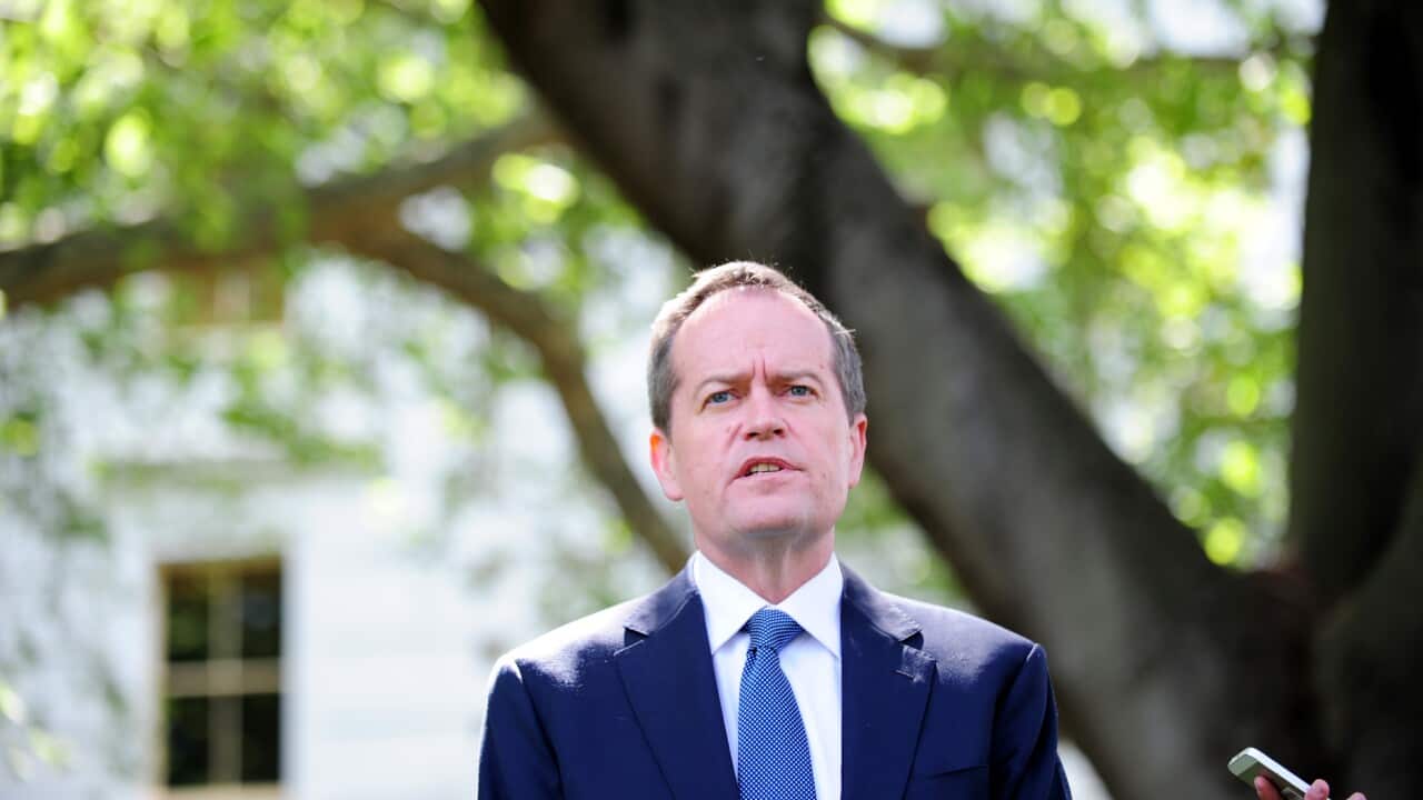 shorten.jpg