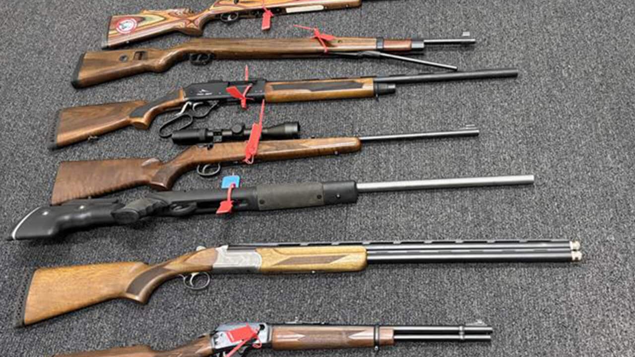 A top-down view shows a collection of seven rifles and shotguns of various types, all featuring wooden stocks, laid out horizontally on a dark carpet. Behind the firearms, several soft gun cases, including a large olive-green and black case labeled “La caccia,“ are stacked against a wall.