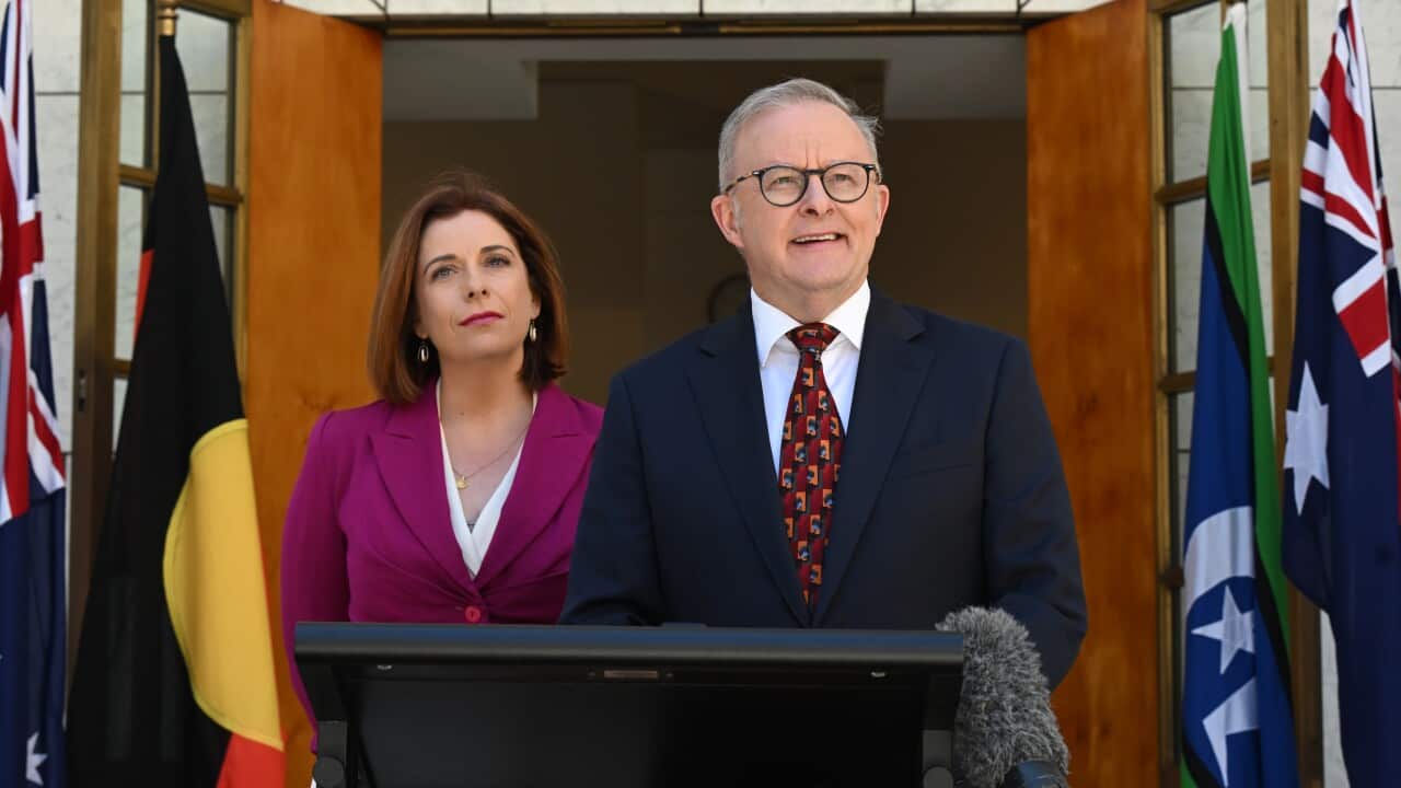 ANTHONY ALBANESE PRESSER