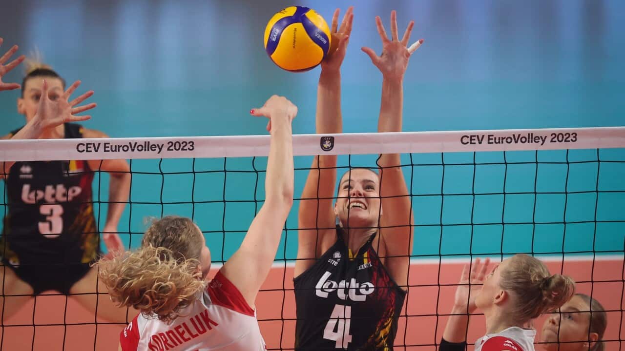 Belgium: VOLLEYBAL EC BELGIUM VS POLAND