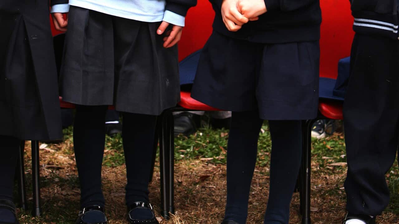 school students children kids