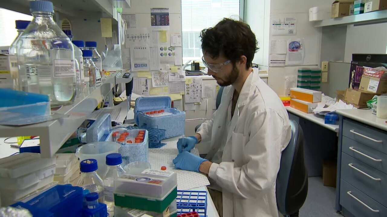 COVID-19 has brought other medical trials to a halt (SBS)