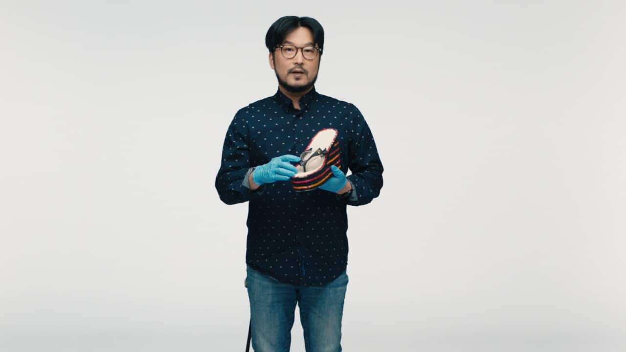 NFSA Hive Exhibition