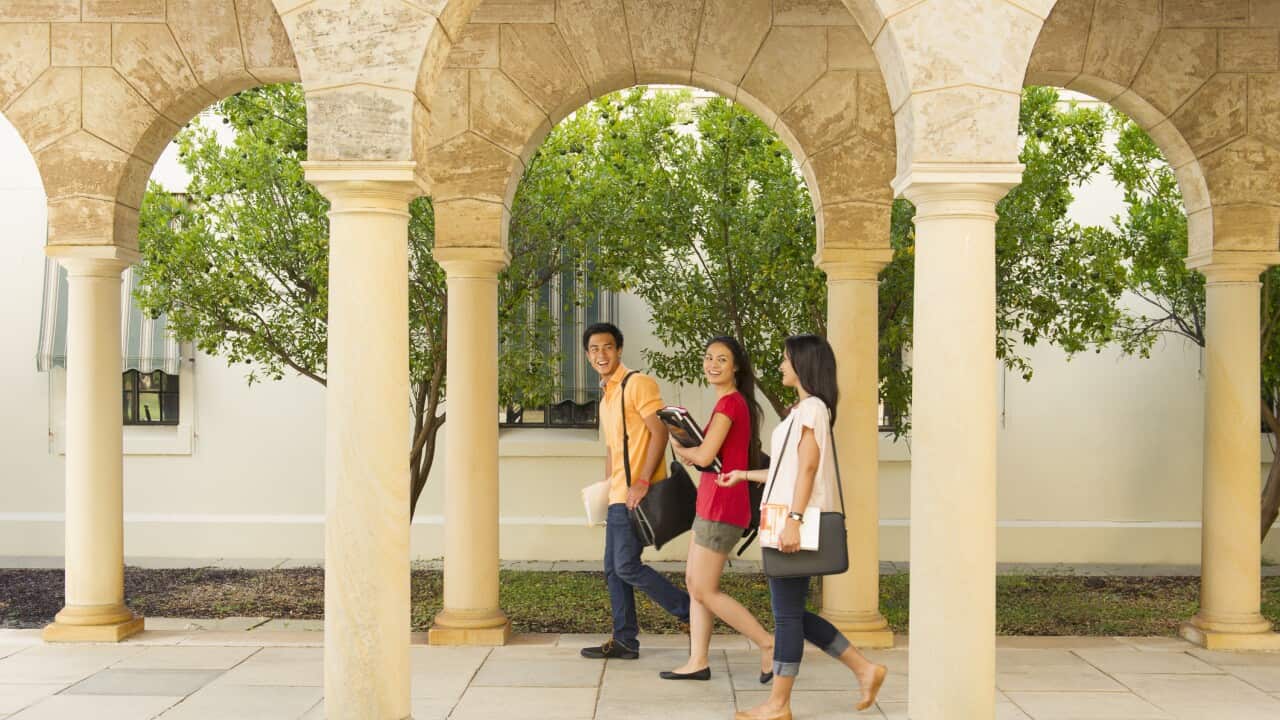 Image for read more article 'READ MORE'