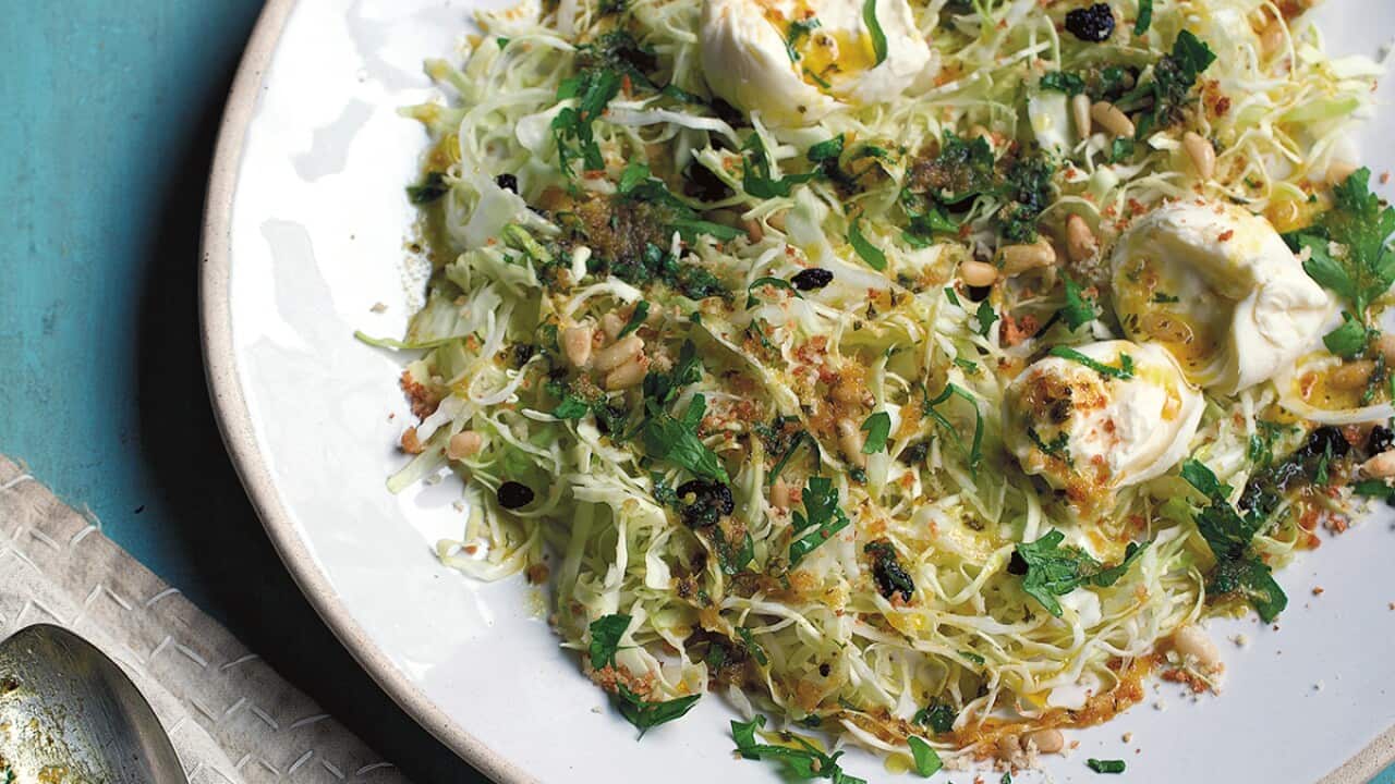 Shredded sugarloaf cabbage with burrata and spiced butter