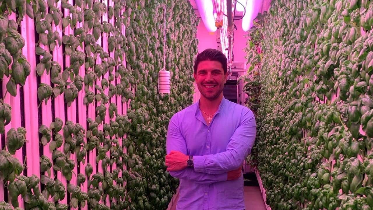 primo piano distante.jpg