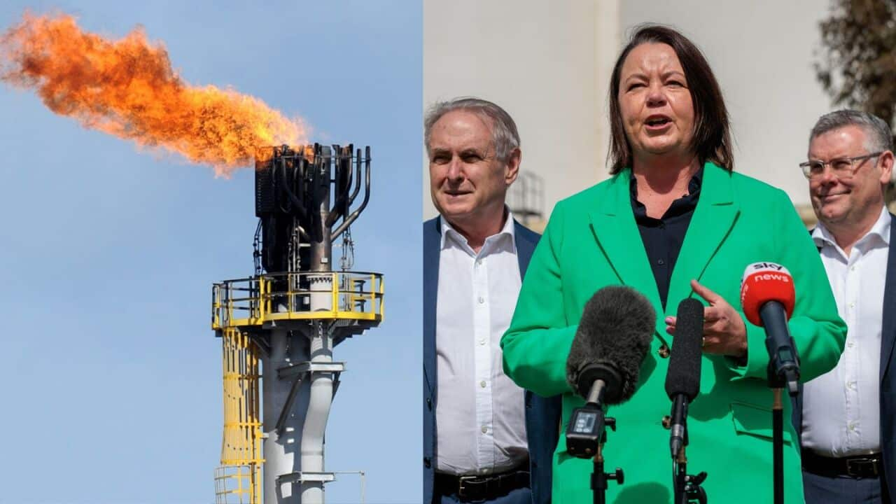 A split image with a gas flare at a gas conditioning plant on the left, and Australian politicians Madeleine King, Don Farrell and  Murray Watt on the right