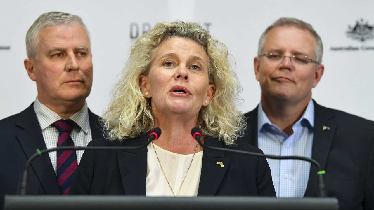 President of the National Farmers Federation (NFF) Fiona Simson speaks to the media during a press conference at the National Drought Summit in Canberra.