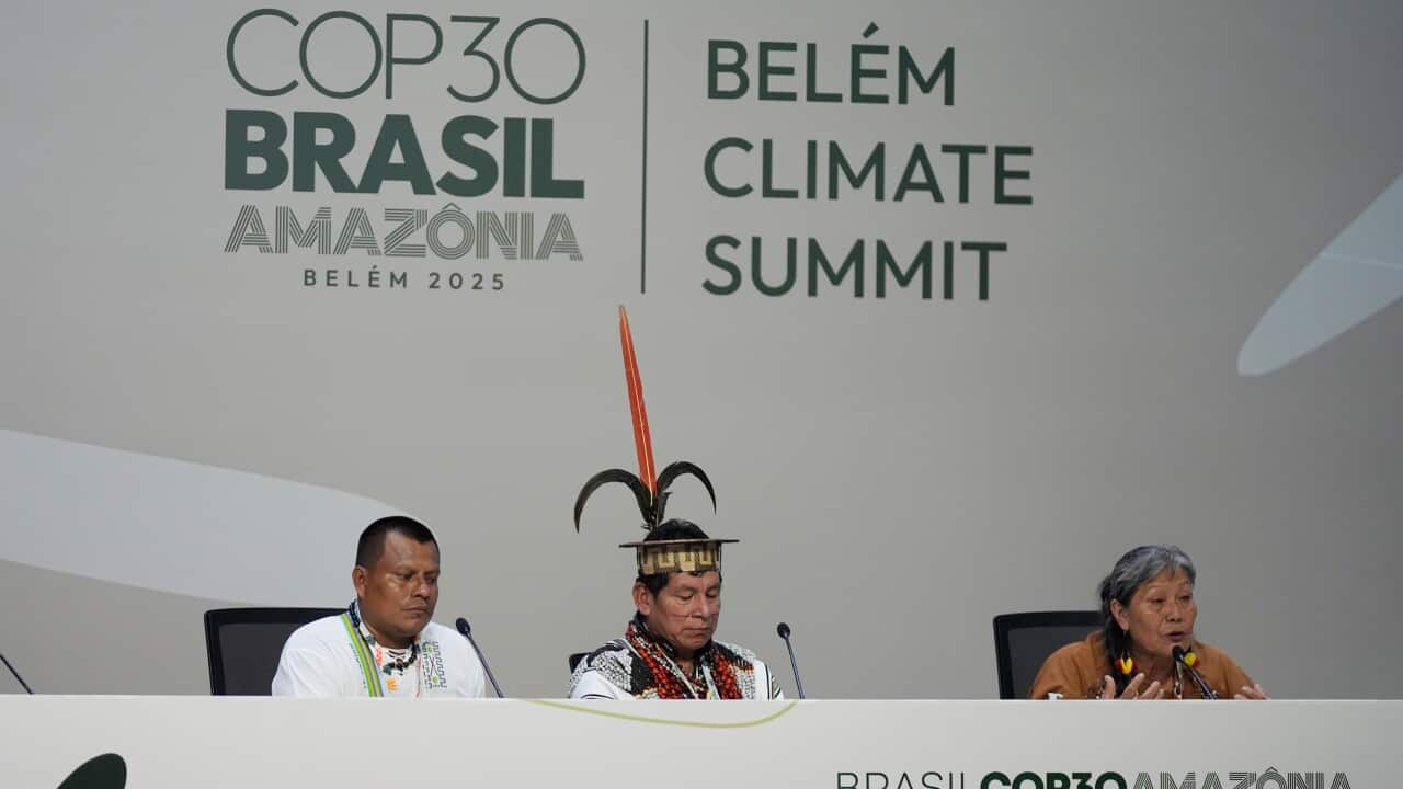 Image for read more article 'OTRAS NOTICIAS:'