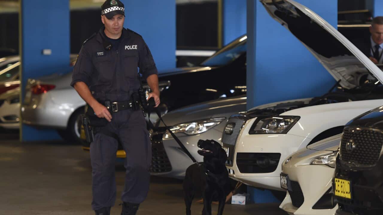 A NSW police officer uses a sniffer dog to search a vehicle