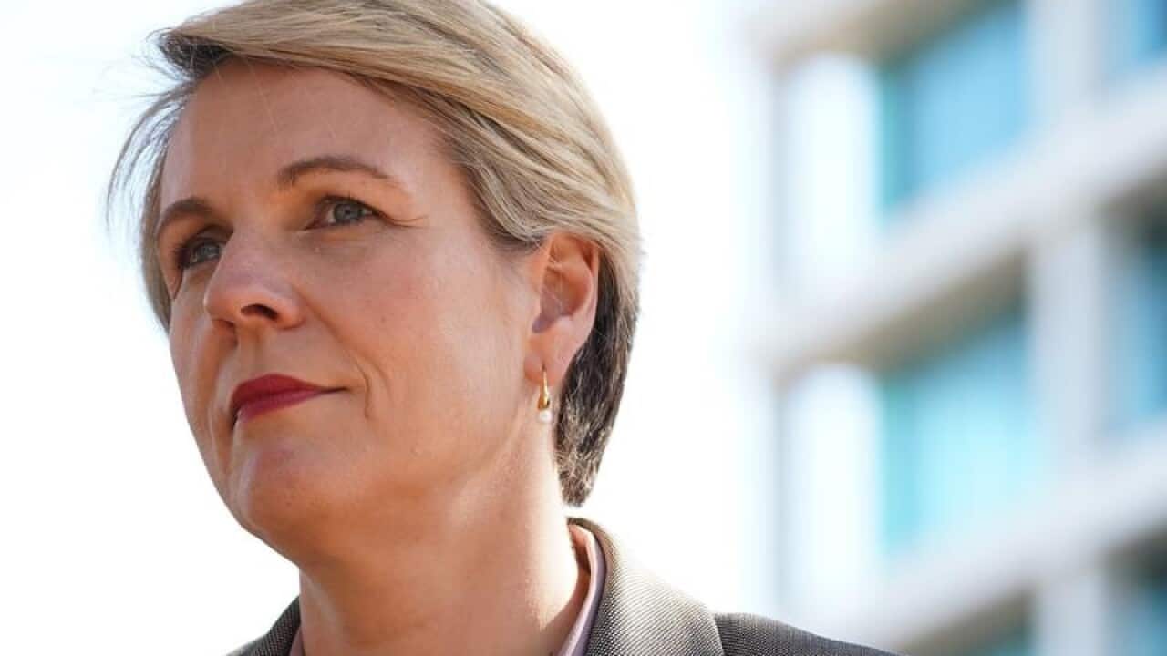 Deputy Leader of the Opposition Tanya Plibersek