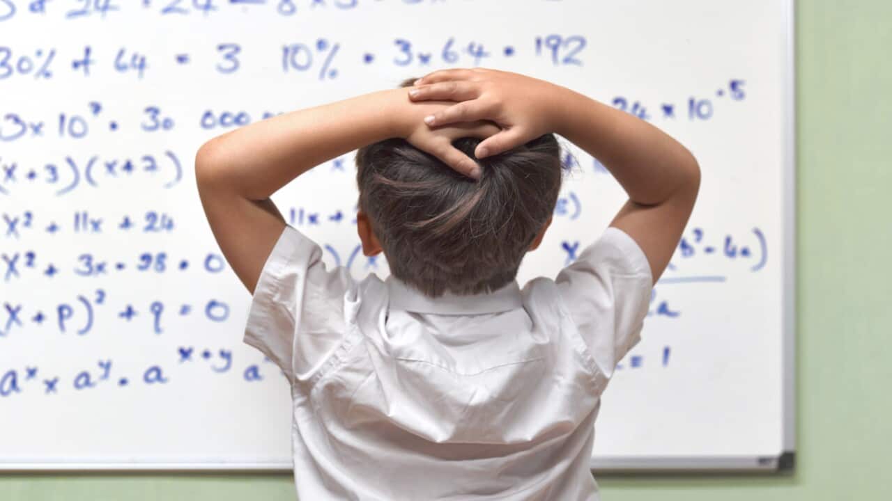JUNIOR PUPIL AMAZED BY MATHS ON CLASSROOM WHITEBOARD