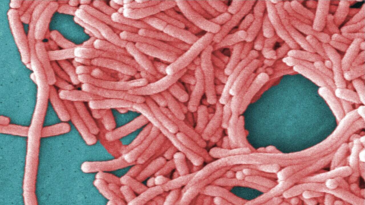 Legionnaires Disease