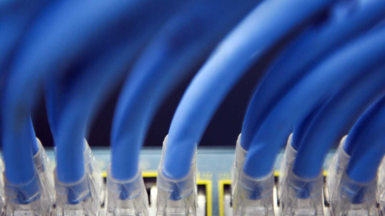 File photo of ethernet cables
