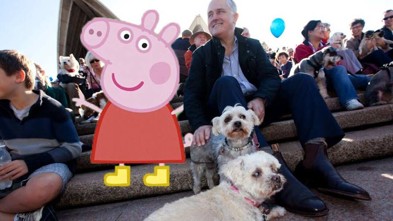 turnbull peppa.jpg