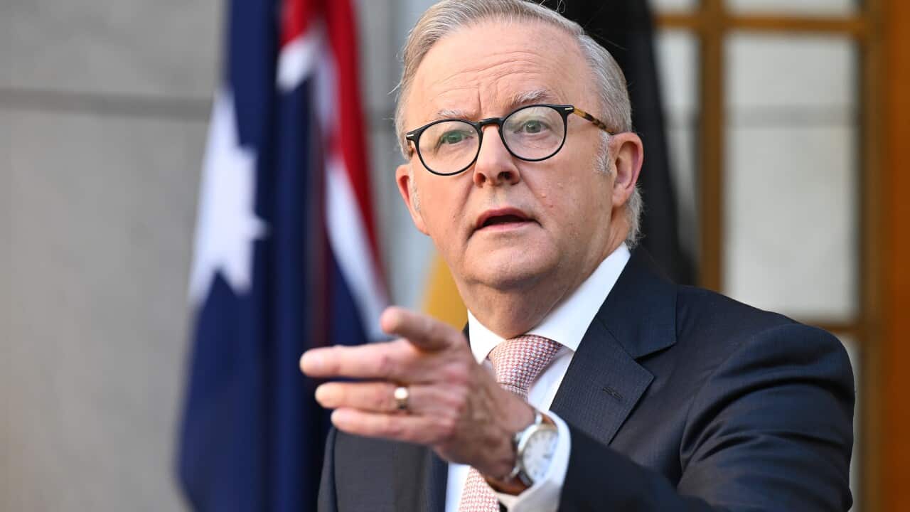 ANTHONY ALBANESE PRESSER