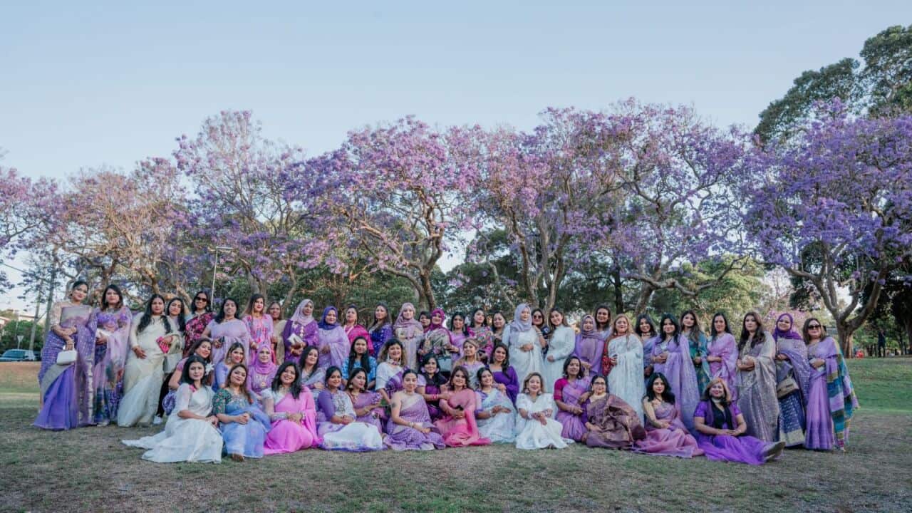 Jacaranda Celebration.jpeg