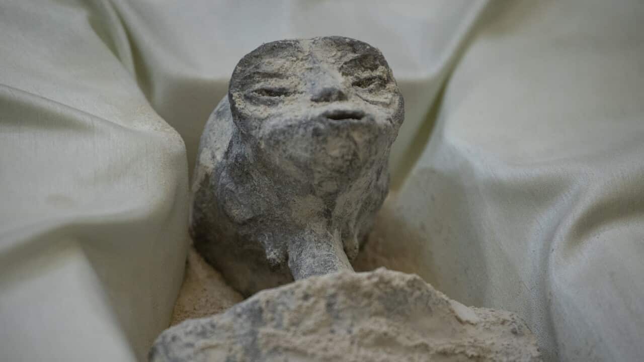 A grey 'non-human' body displayed in a case.