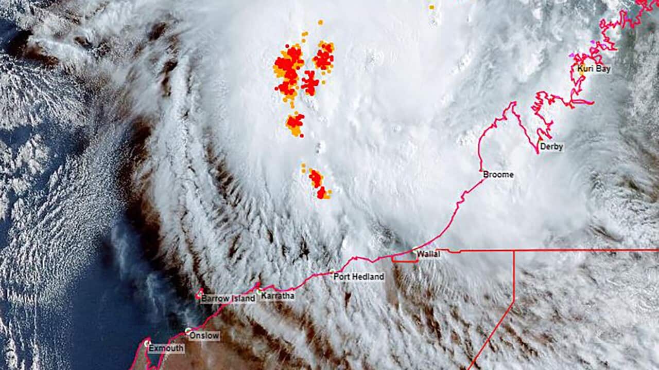 Image for read more article 'READ MORE'