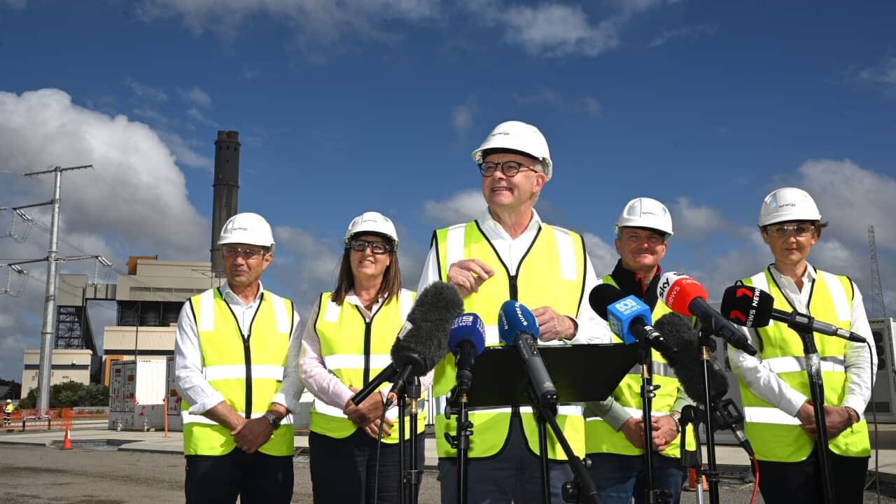 ELECTION25 ANTHONY ALBANESE CAMPAIGN