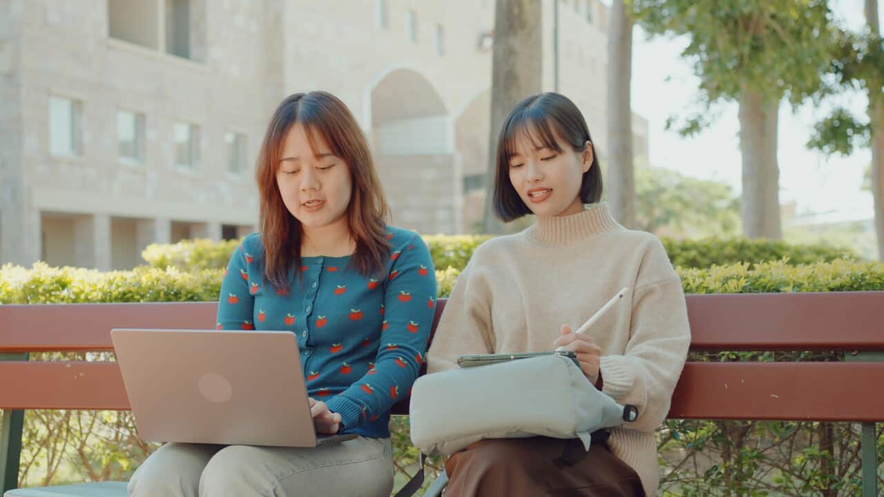 Asian young adult women, international students spending time together on university campus