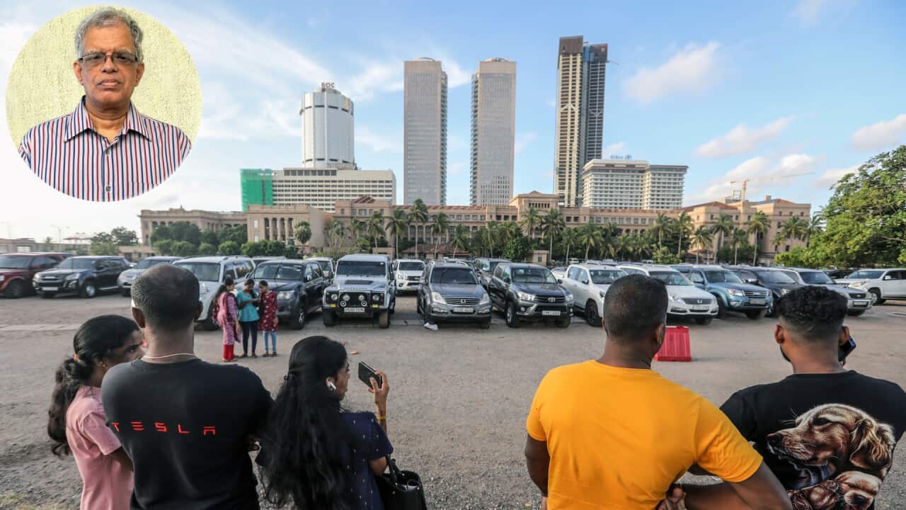 Abandoned luxury government vehicles in Colombo