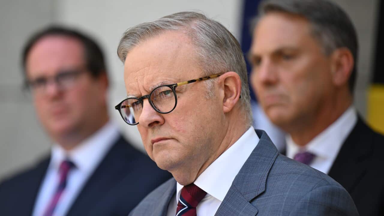 Anthony Albanese, wearing a suit and tie, speaks during a press conference.