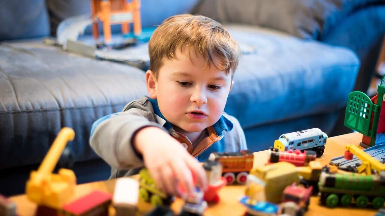Toy library