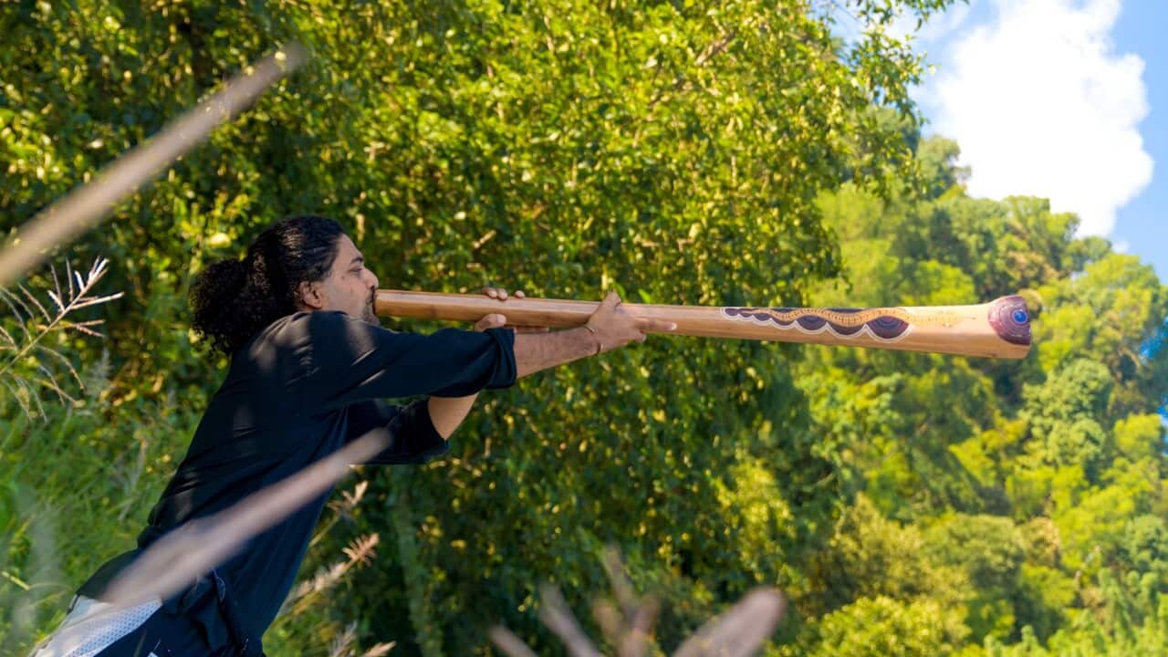 Didgeridoo player Salil Subedi spoke to SBS Nepali