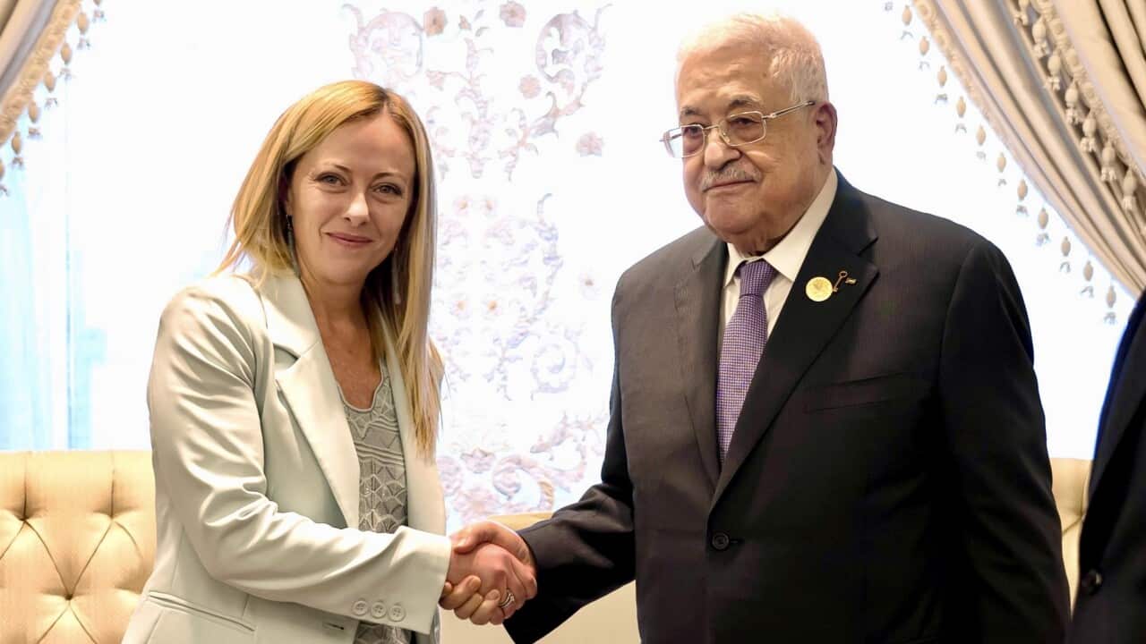 Italian Prime Minister Giorgia Meloni shaking hands with President of the State of Palestine Mahmoud Abbas during a bilateral meeting on the sidelines of the Cairo Peace Summit, 21 October 2023.